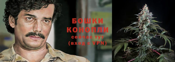 Альфа ПВП Верея