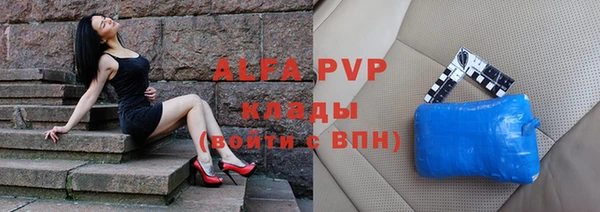 Альфа ПВП Верея