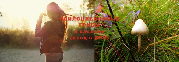 тгк Верхний Тагил