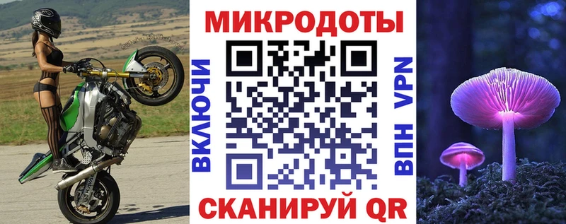 KRAKEN ТОР  Мурманск  Псилоцибиновые грибы Psilocybe 